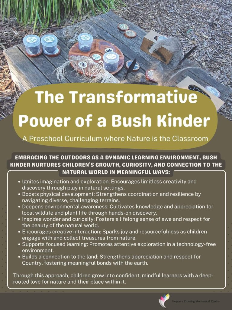Bush Kinder Program 2025