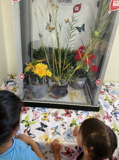 Exploring Life Cycles 12