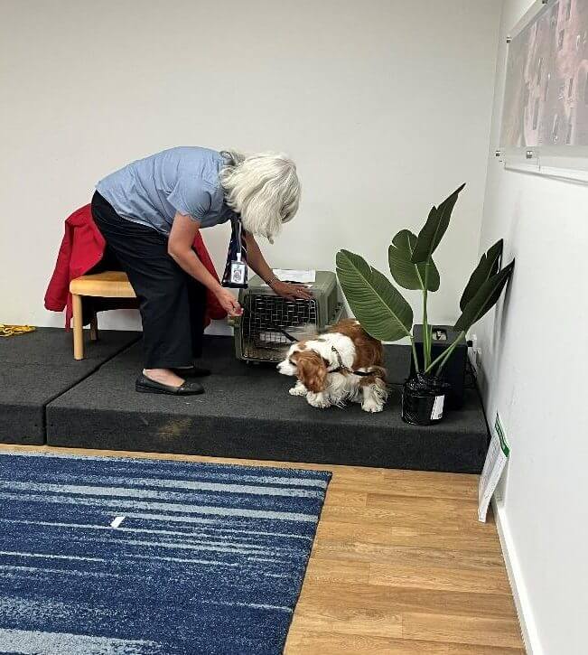 Pet Safety Incursion 6
