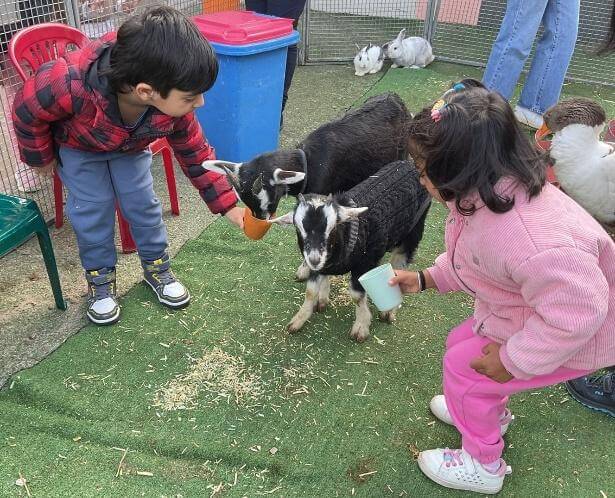 Featured image for “Myuna Farm Incursion”