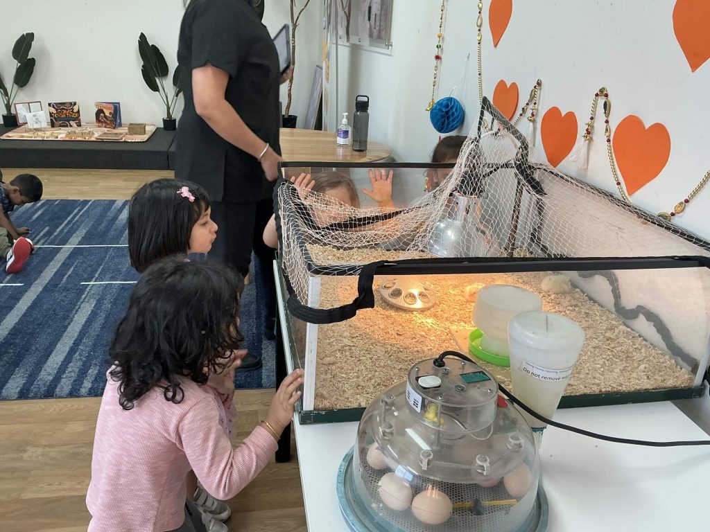 let us wait to hatch