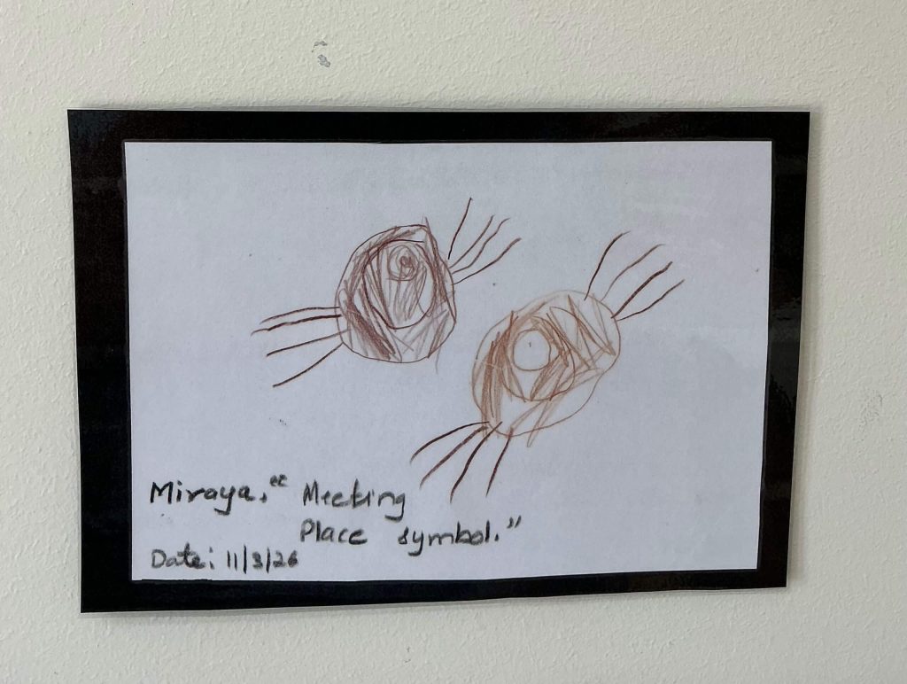 aboriginal project drawing