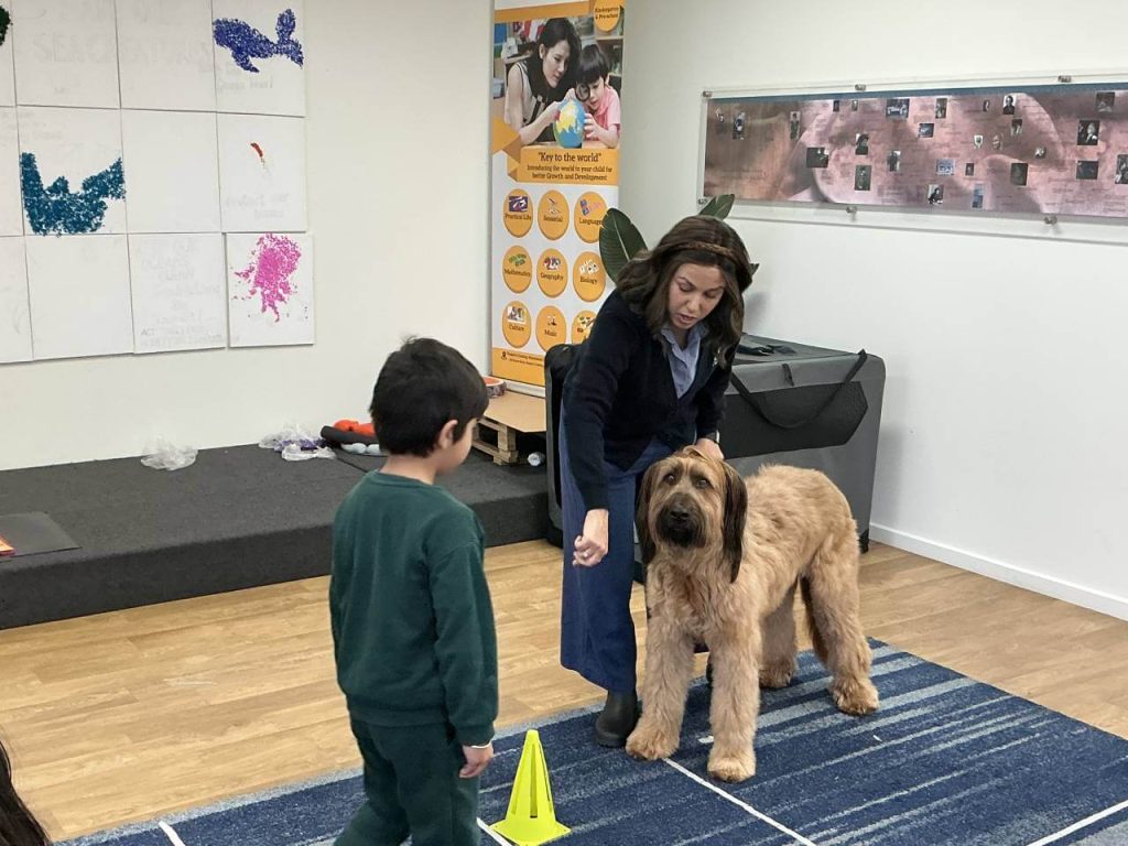 distance between the dog