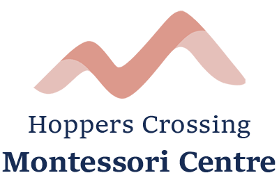 Montessori Minds logo