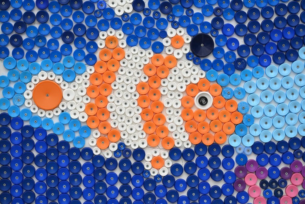 nice fish