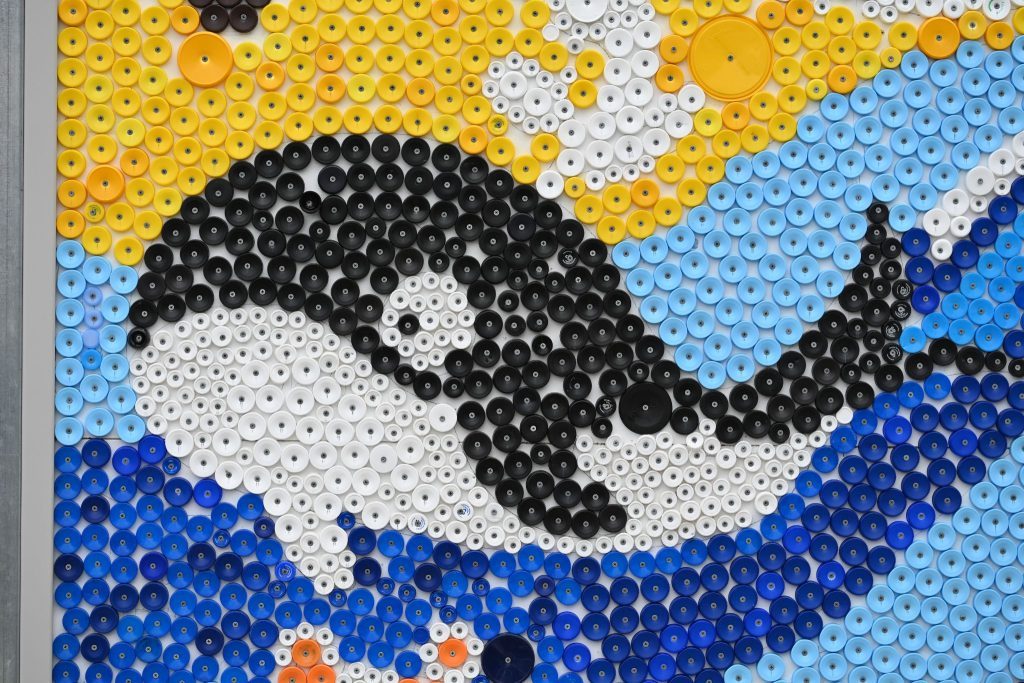 whale